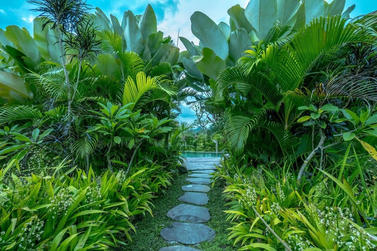 Malaya Villas Ubud Tegallalang  Esterno foto