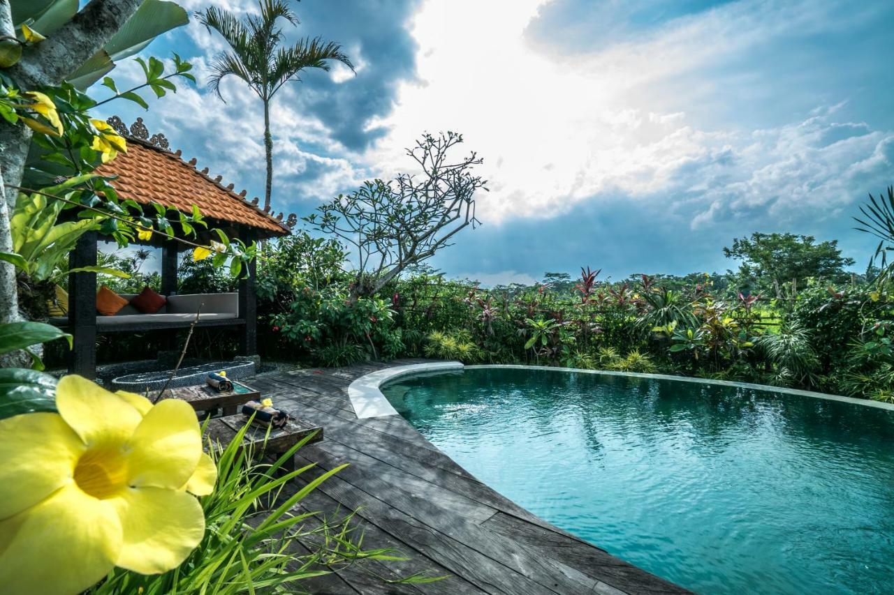 Malaya Villas Ubud Tegallalang  Esterno foto